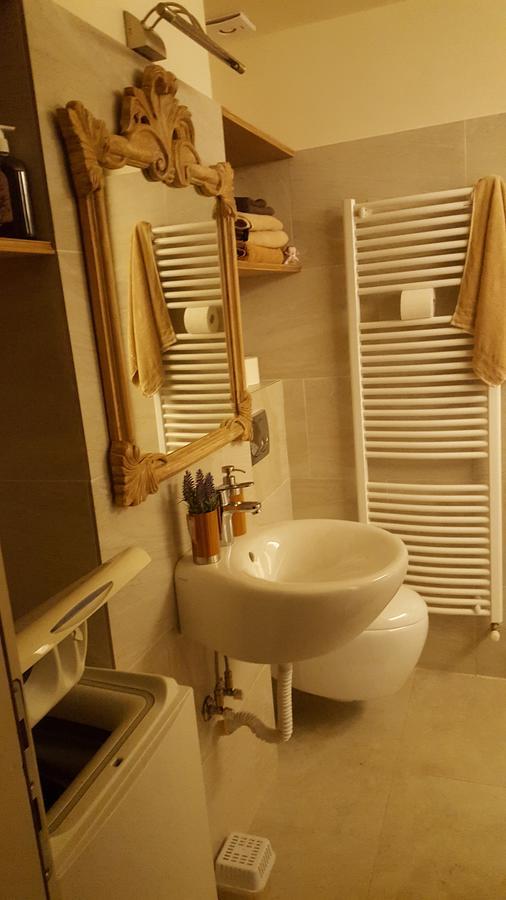 Apartment Vintige คลูจ-นาโปกา ภายนอก รูปภาพ