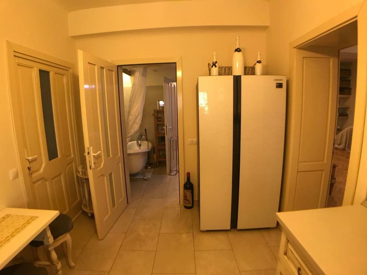 Apartment Vintige คลูจ-นาโปกา ภายนอก รูปภาพ