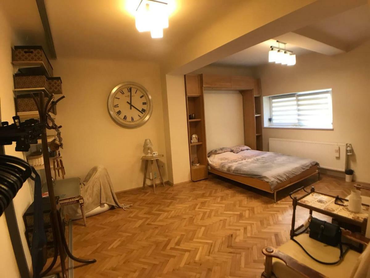 Apartment Vintige คลูจ-นาโปกา ภายนอก รูปภาพ